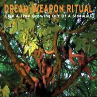 Copertina di Like a Tree Growing Out of a Sidewalk